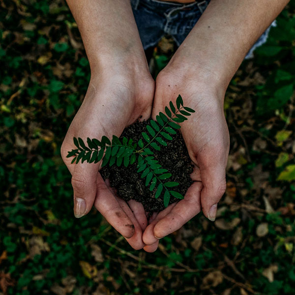 Biochar & Urea